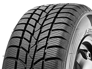 Hankook Winter i*cept RS (W442)